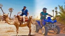 Half day Quad and Camel Ride