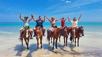 Dunn’s River Falls & Horseback Ride n Swim Guided Tour In Jamaica