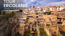 Herculaneum Private Tour 