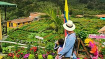 Flower Farm & Silletas Tour in Santa Elena Medellin