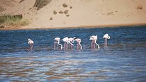 Souss Massa National Park Tour