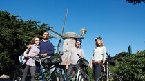 San Francisco: All Day Bike Rental in Golden Gate Park