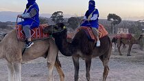 Small group to Atlas Mountains 4valleys;Waterfulls and camel Ride experience 