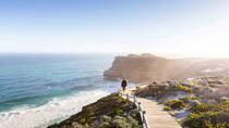 Full-Day Cape Peninsula Tour from Cape Town