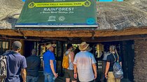 Vitoria Falls Guided tour 