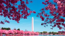 DC in a Day Monuments Tour with 10 Stops, Optional Entry Tickets