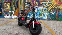 Fat Tire 2 Seater Rental in Dallas