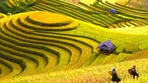 Travel Vietnam From Rice Terraces To Mekong River 17 Days