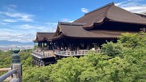 Kyoto Guided Walking Tour Highlight of Kiyomizu & Fushimi Inari