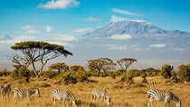 7-Day Masai Mara, Nakuru, Naivasha & Amboseli Kenya Budget Safari