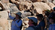 Joshua Tree Natural Wonders Walk: Plants, Animals and Rocks