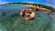 Baru White Beach Tour with Snorkeling Raccoons and Mangroves