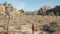 1-day Private Tour to Joshua Tree National Park from Los Angeles
