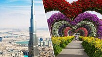 Half Day city Tour & Miracle Garden Tickets Only 