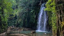 Ubud Private Chasing Waterfall and Water Temple Tour