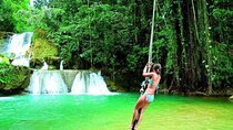 South Coast Tour to YS Falls, Black River Safari and Appleton Rum