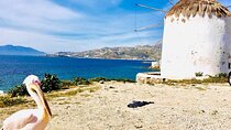 Private Tour: Mykonos Island in Half a Day