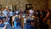Douro Valley Guided Tour of 3 Vineyards with Lunch