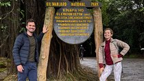 Private Mountain Kilimanjaro Day Hike