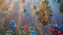 Kayaking adventure through the Xochimilco and Frida Kahlo Canals