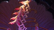Beijing Night Tour for Acrobatic Show & Peking Duck