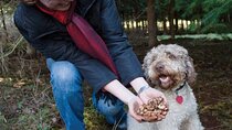 Day Trip from Milan: Private VIP Truffle Hunting in Langhe Region