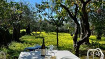 Sorrento : Cooking class & Wine Pairing with Sommelier by the Sea