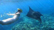 Nusa Penida Snorkeling with Manta Bay and Land Tour