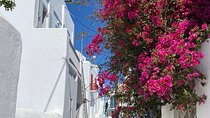 Private Mykonos Secret Spots And Island Stories