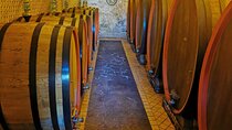2 Mt Etna Wineries Experience from Taormina
