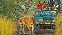 Private 4-Day Golden Triangle Tour with Ranthambore Tiger Safari