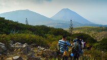 Guided hike to Santa Ana Volcano in El Salvador