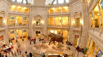 Shared Smithsonian Museum Tour Experience