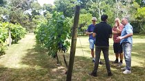 Traditional and award-winning winery tour in Montevideo