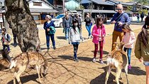 Tailor Made 13 Days Japan Family Vacation for Your Kids