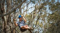 Western Sydney Zipcoaster Experience