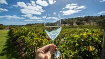 Barossa Valley Wine Tour Tastings and Lunch Included
