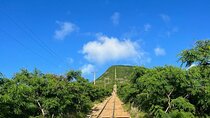 Hike Koko Head's 1,048 Steps with Ms. Hawaii for Summit Views