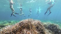 The Secret of the Posidonia-Kayak&Snorkel Tour Sant Elm