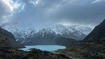 Christchurch to Lake Tekapo Car and Hike 6-Day Tour