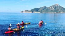 Explore the Island Dragonera by kayak