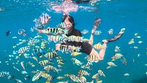 Gili Nanggu, Kedis & Sudak Boat Trip ( Full Day + Snorkeling )