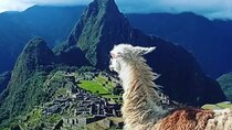 Sacred Valley and Machu Picchu 2 days