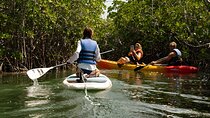 Key West Hidden Sanctuary Mangrove Kayak Tour With Drinks
