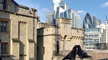 Tower of London and Tower Bridge Private Tour