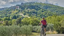 Florence Countryside PRIVATE E-Bike Tour with Wine Tasting