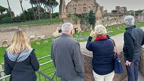 Colosseum Forums Palatine and Capitoline Tour by Phd Archeologist