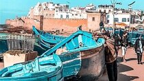Essaouira Sea Breeze: Medina Port Argan & Beach Day Trip