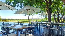 Private Winery Tour in Mendoza with Exclusive Tasting