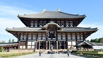 Nara Walking Day Tour with Spanish Speaking Guide